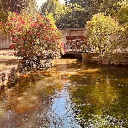 Appartement Fontaine De Vaucluse 外观 照片
