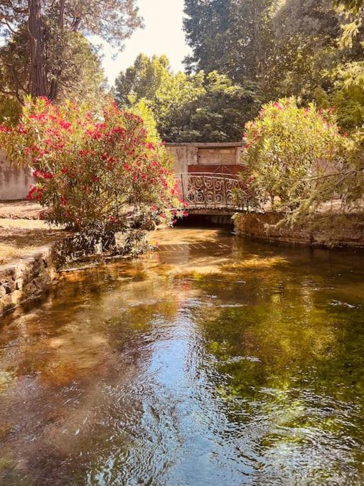 Appartement Fontaine De Vaucluse 外观 照片